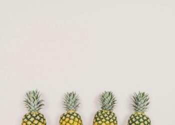 Chipotle investiert 100 Millionen US-Dollar in die Förderung der Zukunft der Lebensmittel – Wir begrüßen Ihre innovativen Ideen.