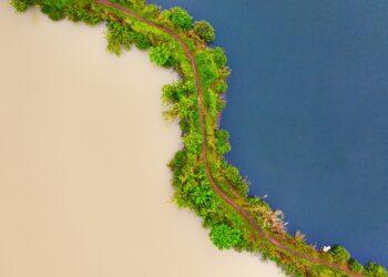 Erkunden der Gegensätze: Indien vs. Indonesien