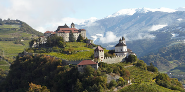 Weinfreunde: Weinvielfalt für Genießer und Sammler