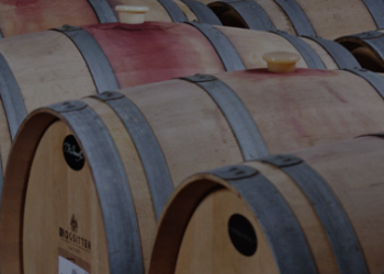 Brogsitter: Qualität und Stil für jeden Anlass